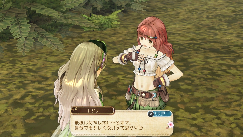 Atelier Ayesha Plus 03.01.2014  (1)