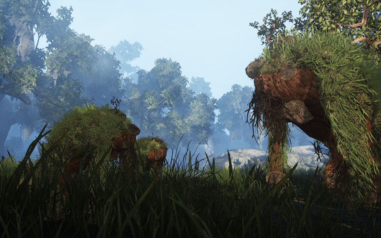BlackDesertOnline-14