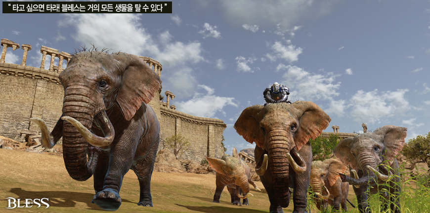 Bless_online_montures_1_OK