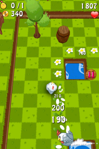 chiken4