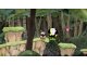 Cuphead image