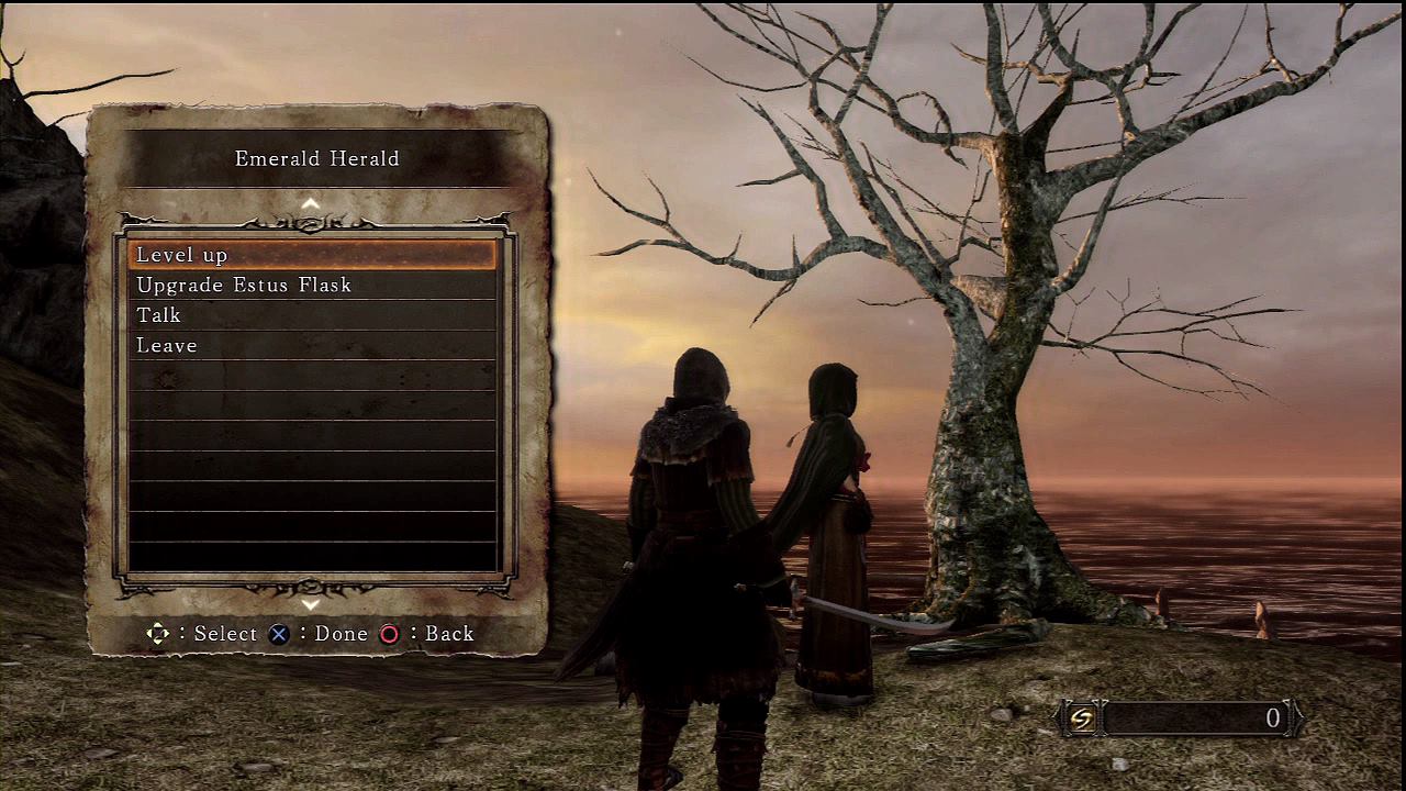 Dark Souls II 12.02.2014  (26)