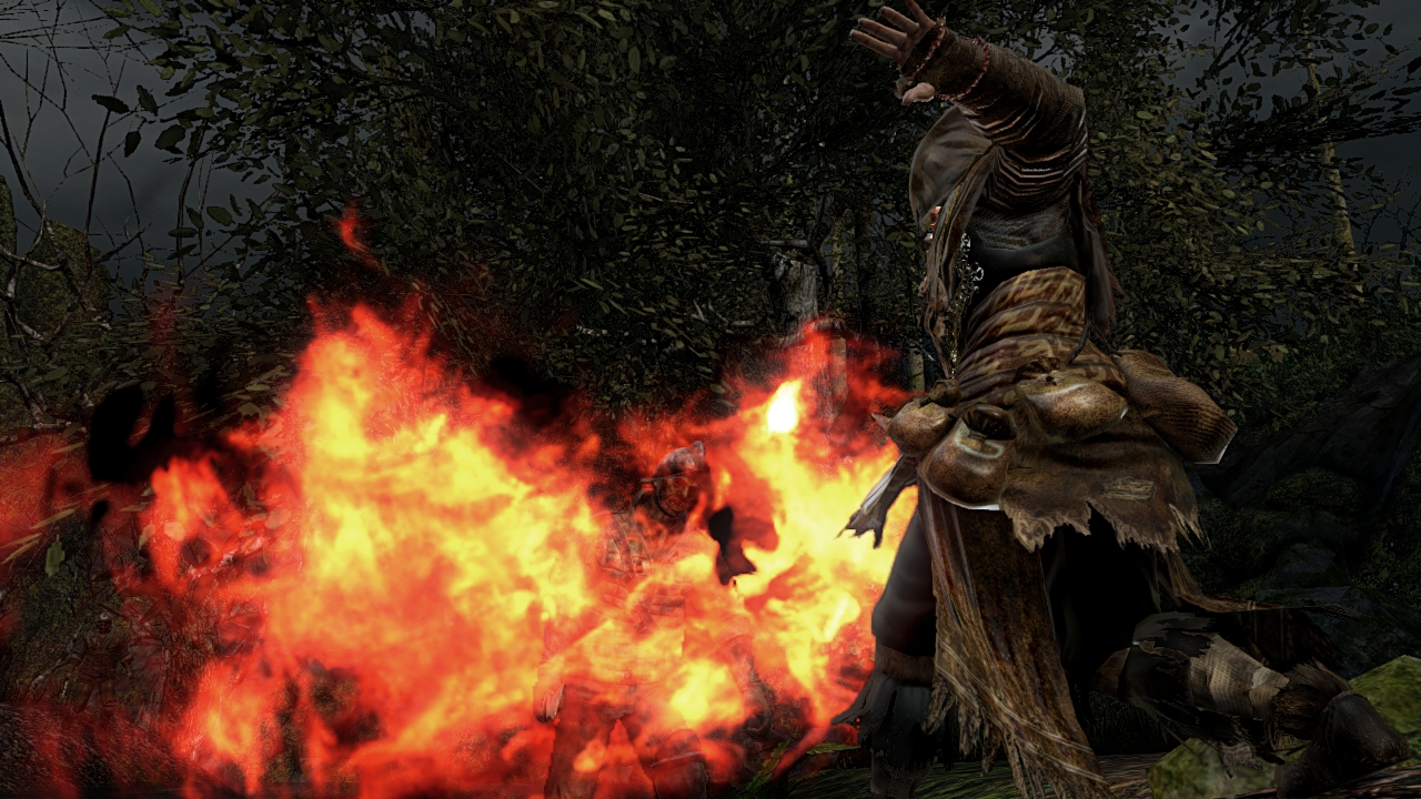 Dark Souls II 17.01.2014  (17)