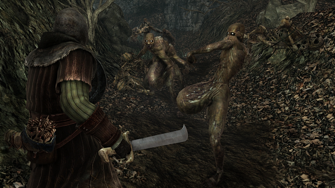 Dark Souls II 17.01.2014  (18)
