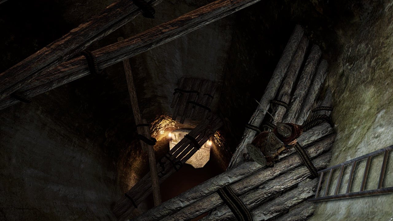 Dark Souls II 17.01.2014  (6)