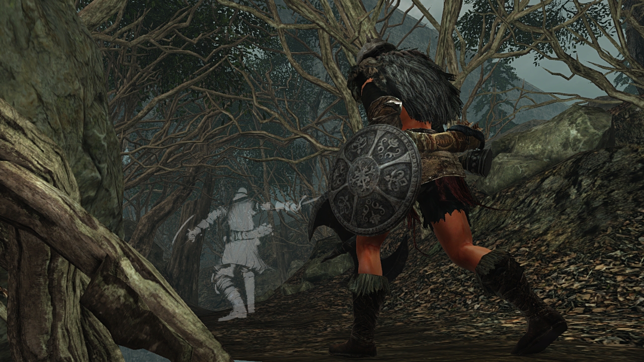 Dark Souls II 17.01.2014  (9)