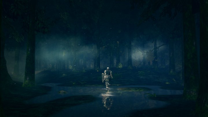 dark-souls-screenshot-11052011-08