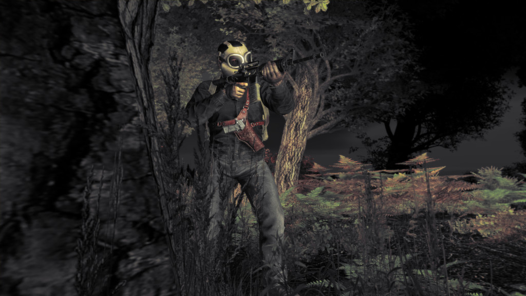 DayZ Standalone 1