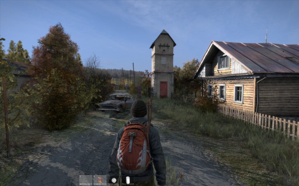 DayZ Standalone 2