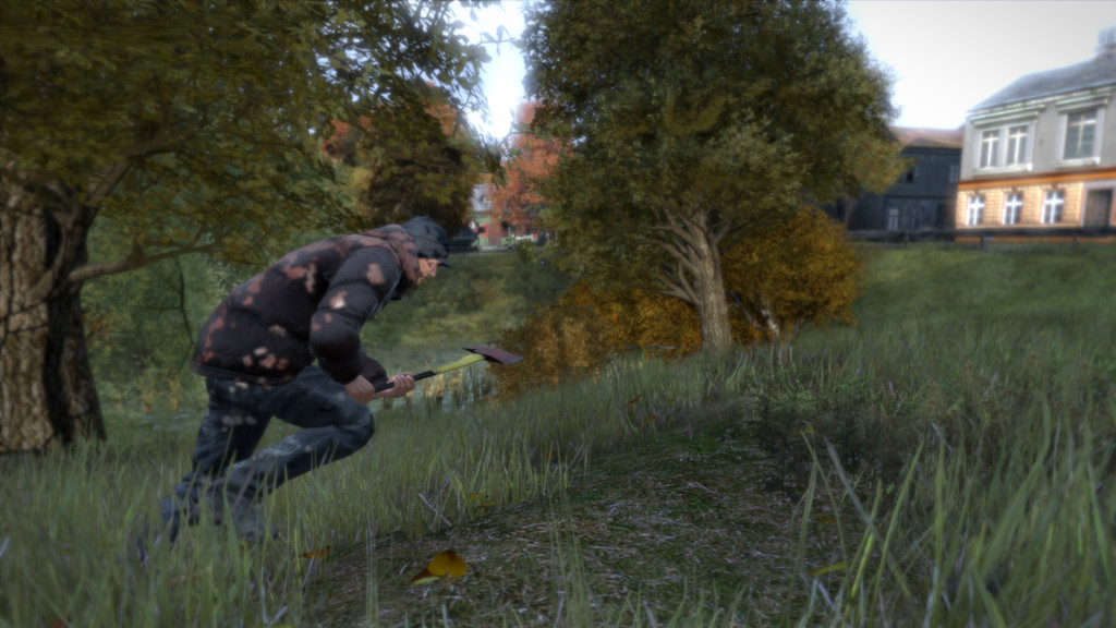 DayZ Standalone 5