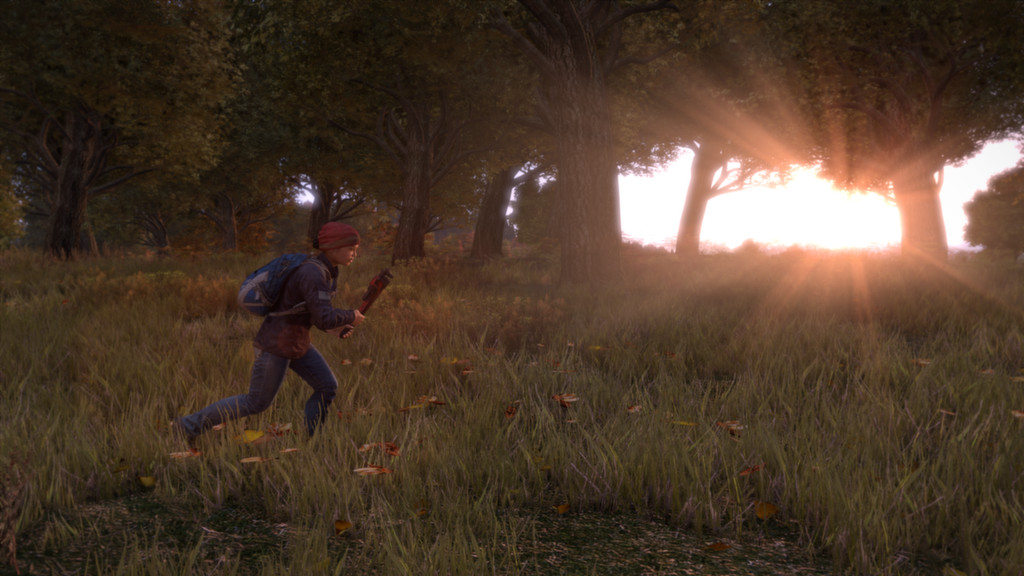 DayZ Standalone 6
