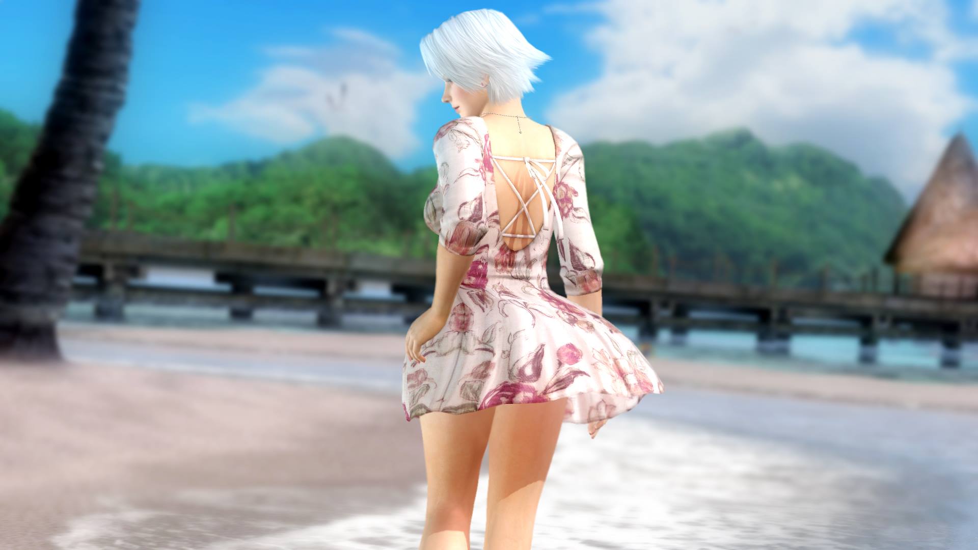Dead or Alive 5 Ultimate 05.12.2013 (4)
