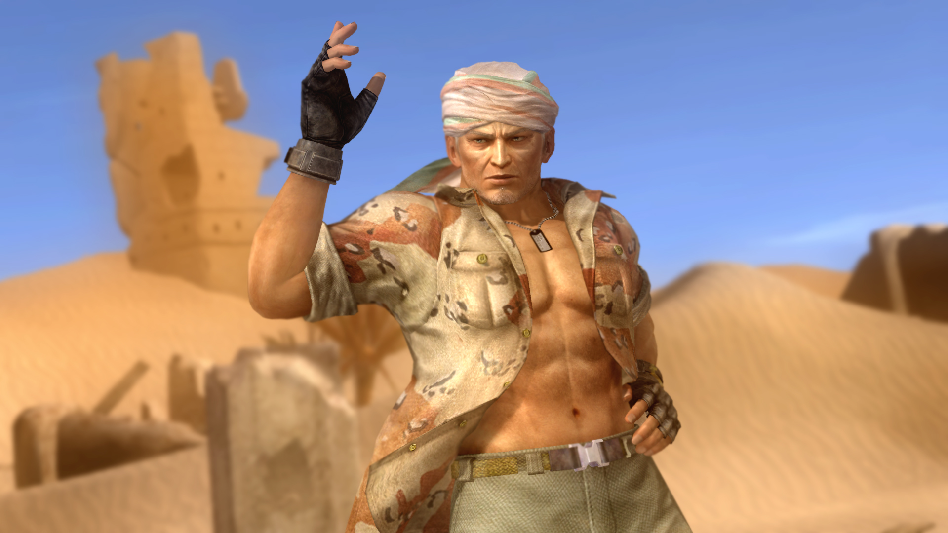 Dead Or Alive 5 Ultimate 10
