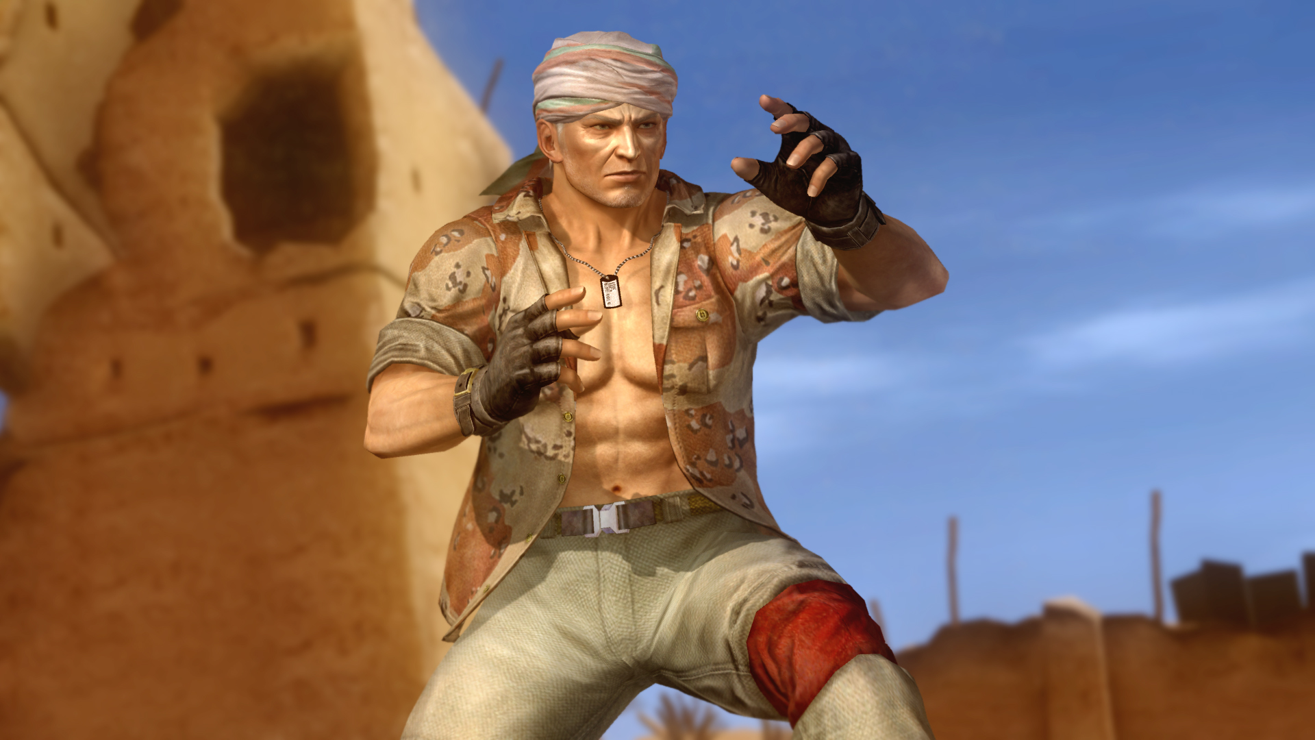 Dead Or Alive 5 Ultimate 9