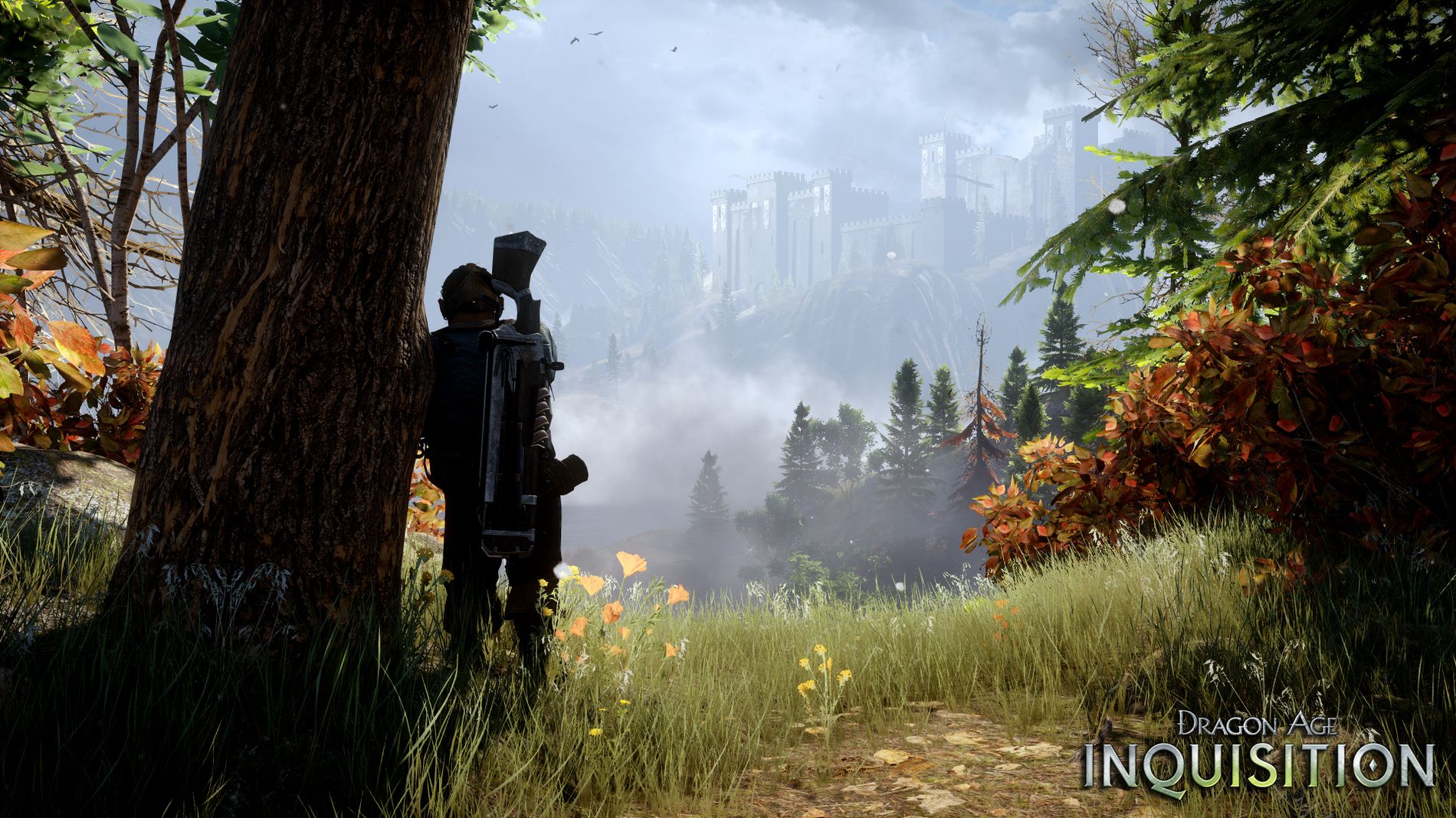 Dragon-Age-Inquisition_14-06-2014_screenshot-8