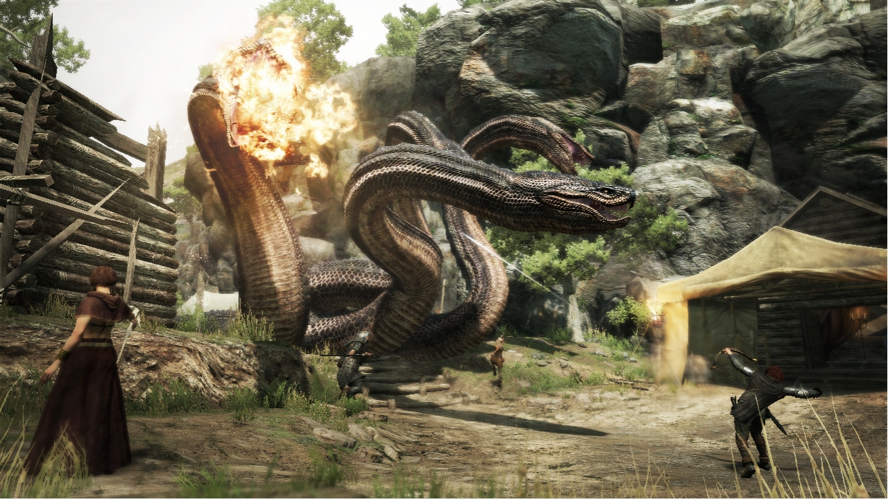 Dragon's-Dogma_16-08-2011_screenshot (12)