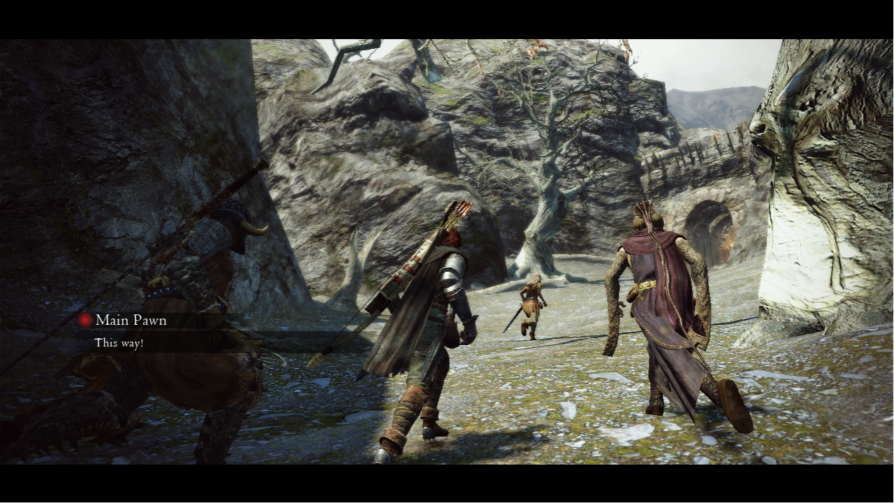 Dragon's-Dogma_16-08-2011_screenshot (2)