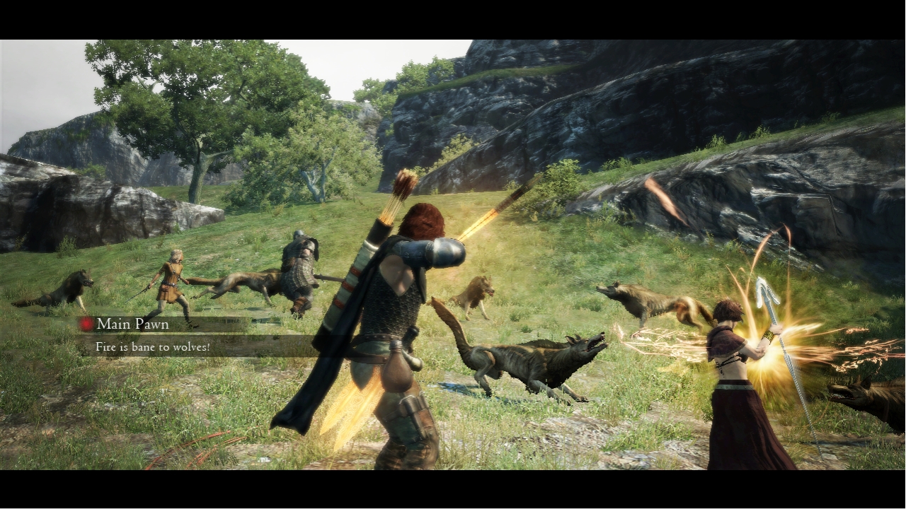 Dragon's-Dogma_16-08-2011_screenshot (3)