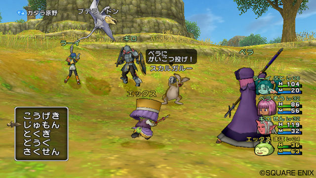 Dragon Quest X 20