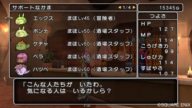 Dragon Quest X 22