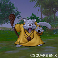 Dragon Quest X 32