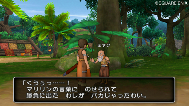 dragon_quest_x-5
