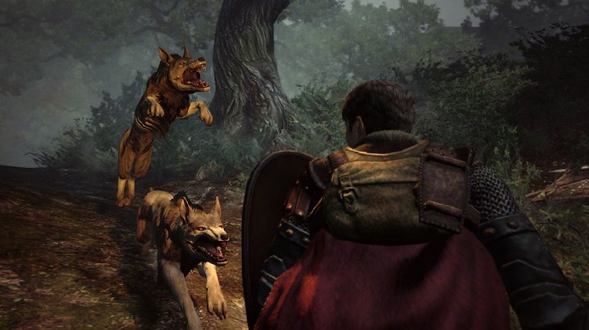 Dragons-Dogma_29-08-2011_screenshot-17