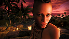 Far Cry 3 vignette 19-11-2012