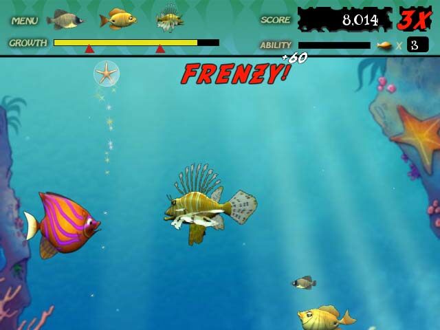 feeding-frenzy