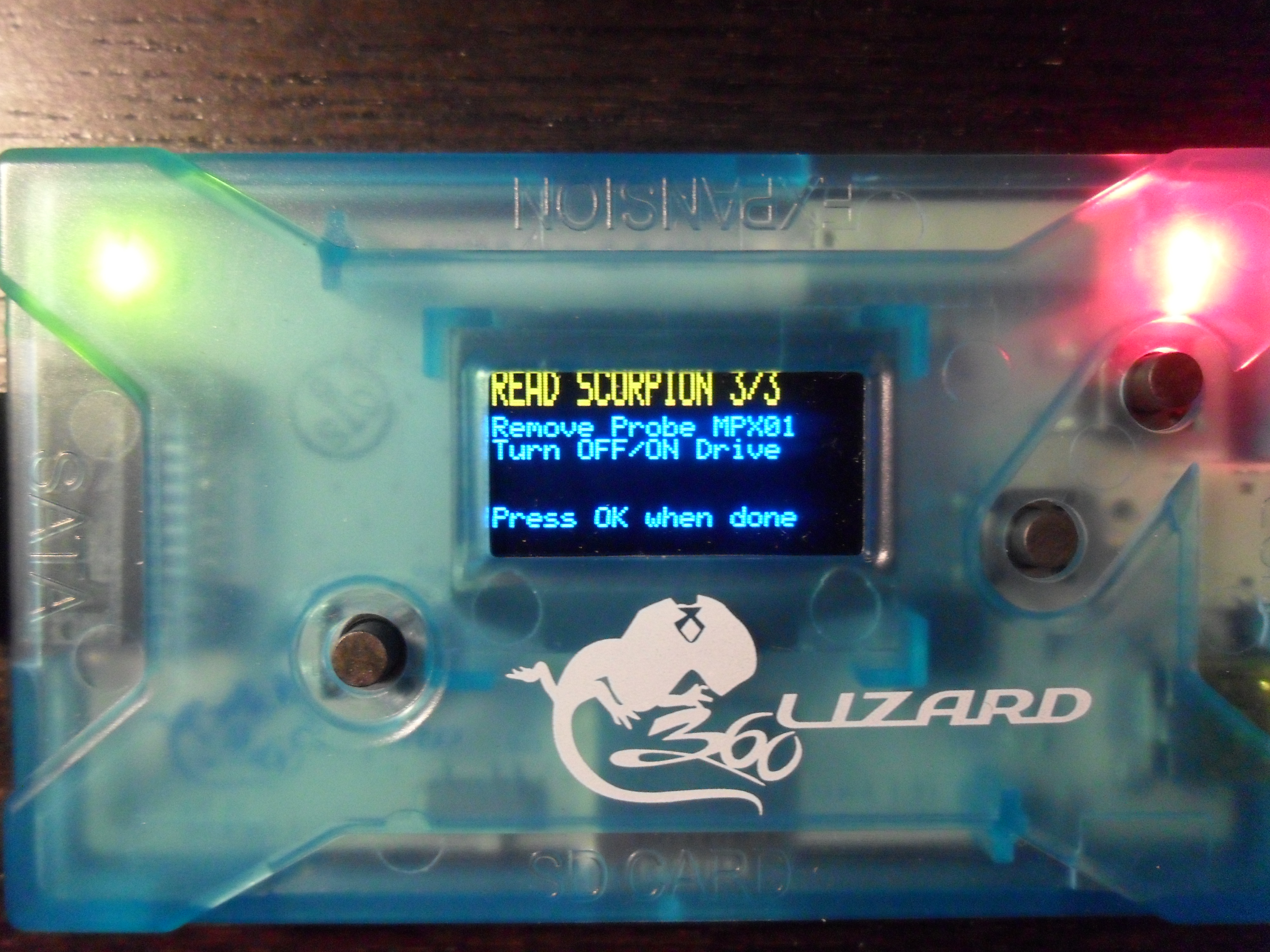 Flash Lizard - Lizard 11