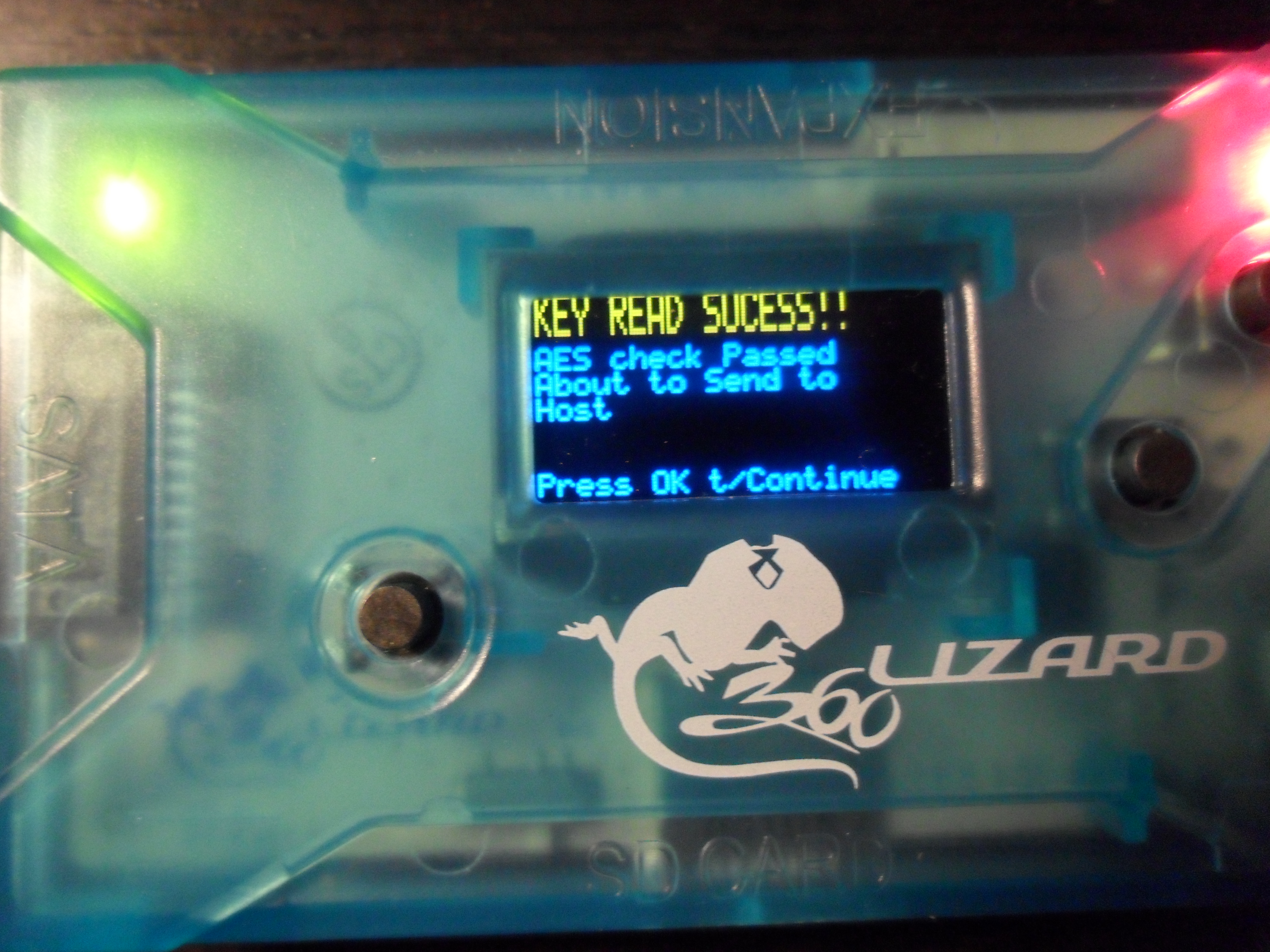 Flash Lizard - Lizard 12