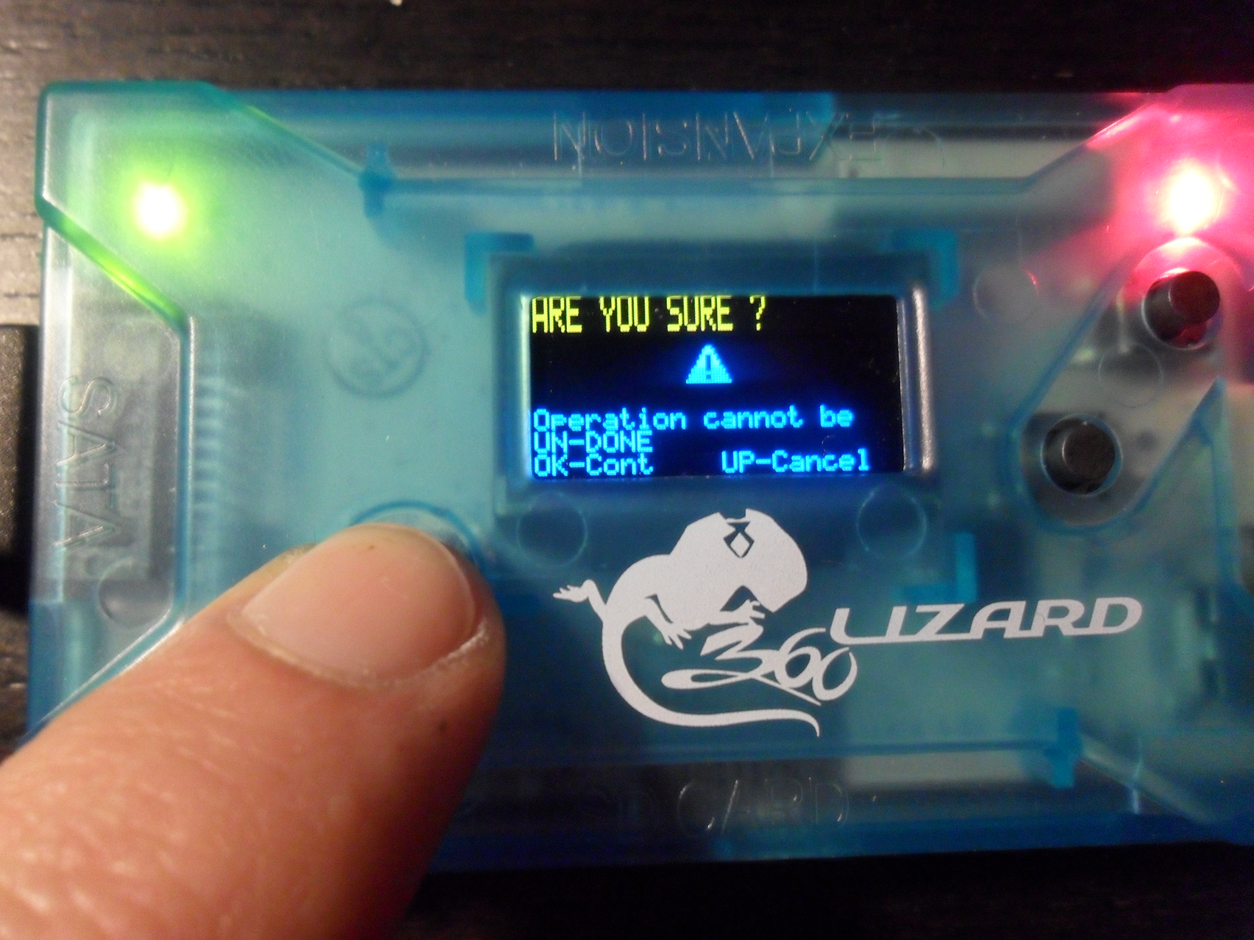 Flash Lizard - Lizard 22