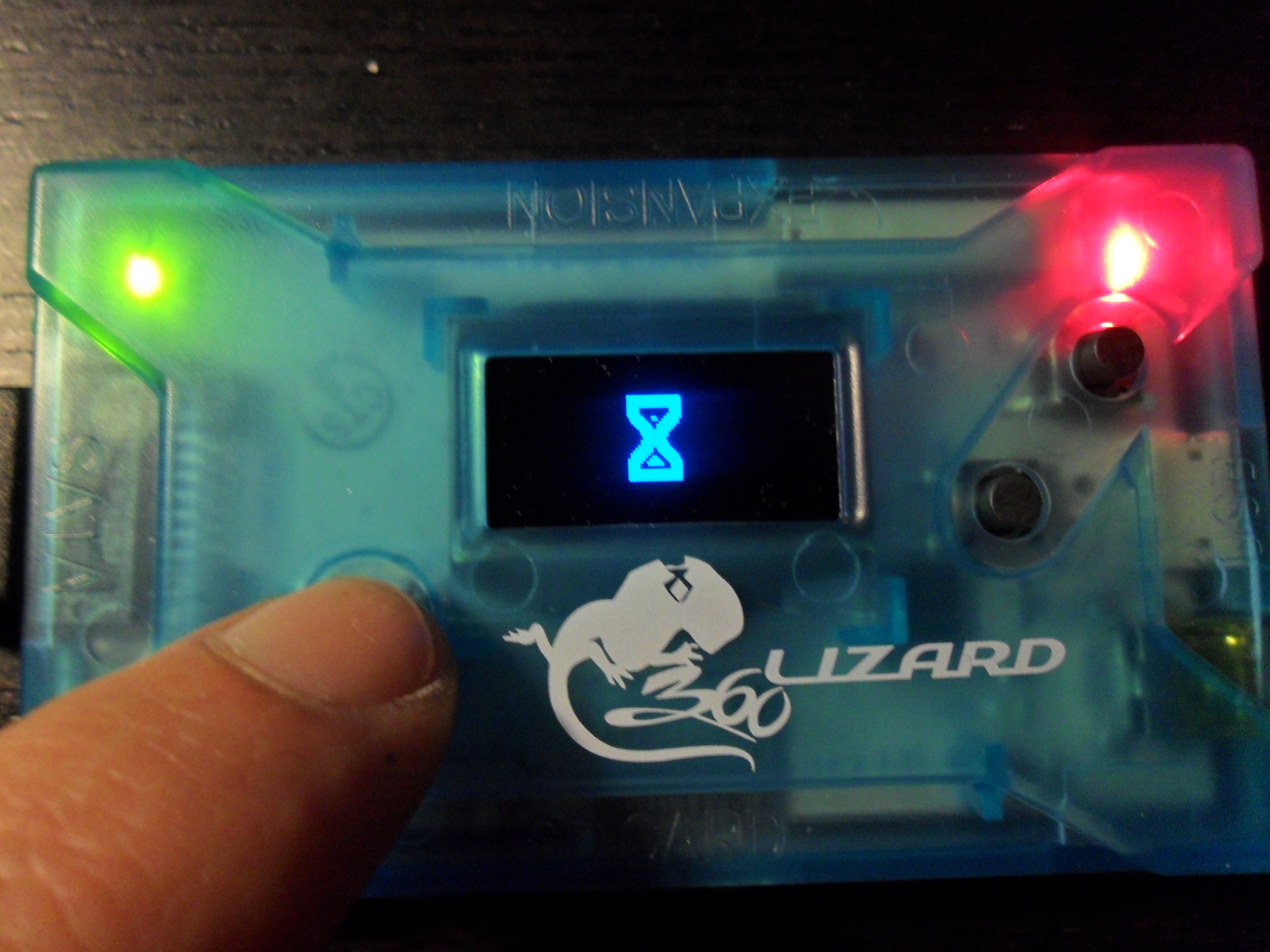 Flash Lizard - Lizard 24