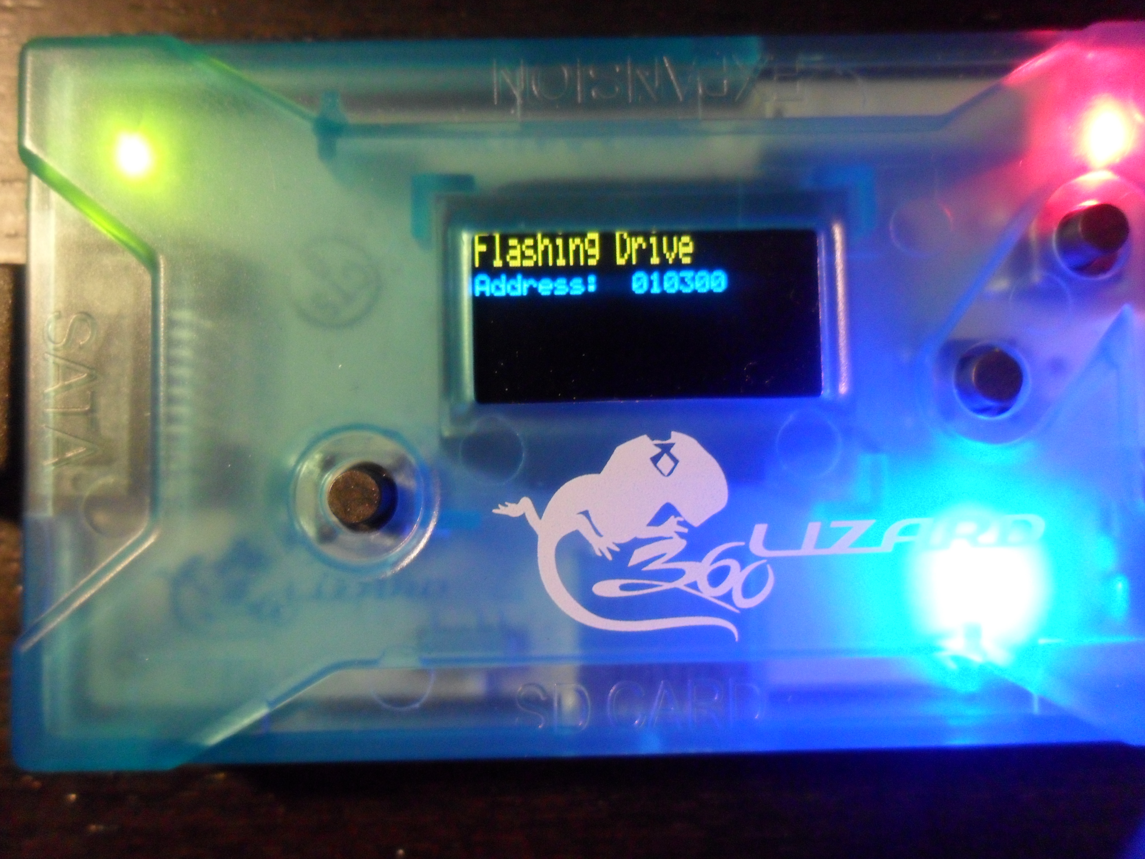 Flash Lizard - Lizard 26