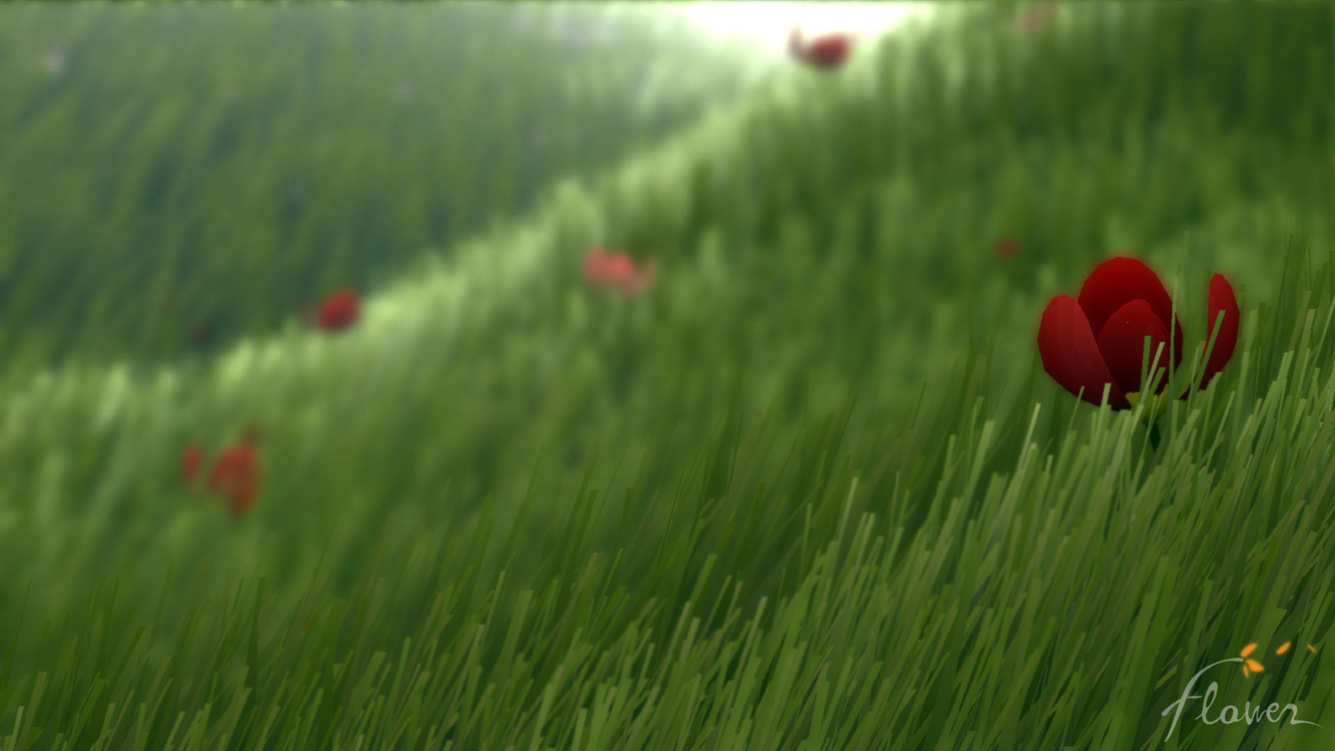 flower 30.05.2013.