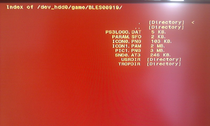 hack-tuto-tout-sur-cfw-3-55-geohot (14)