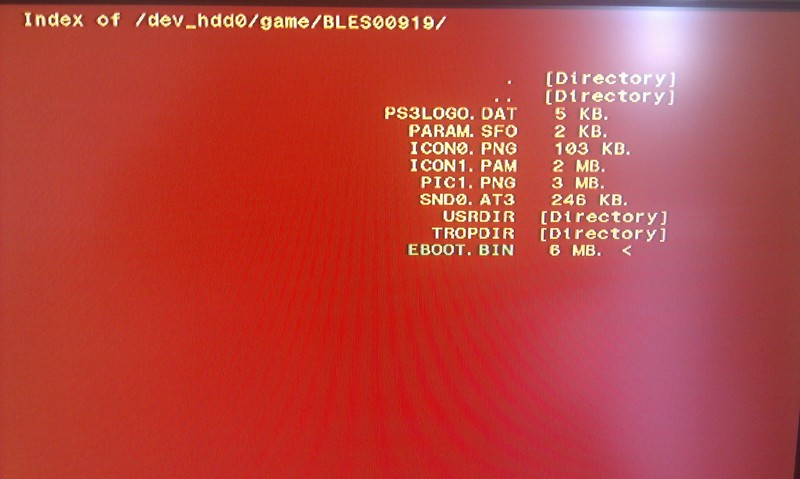 hack-tuto-tout-sur-cfw-3-55-geohot (21)