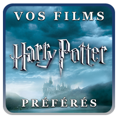 Harry Potter movie Store Video