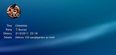 Heros Playstation Move - Trophees - BRONZE - 32