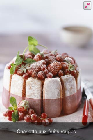 igourmand-application-iphone-ipad-livre-de-recettes-3