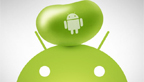 img_play store