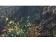 inFAMOUS-Second Son-Photo-Mode-009