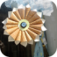iorigami-pro-logo-icone