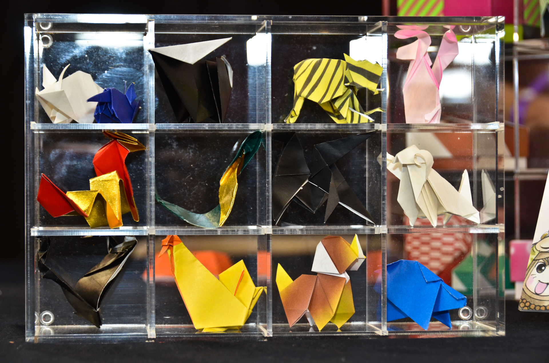 Japan Aurea 2012 - 0043