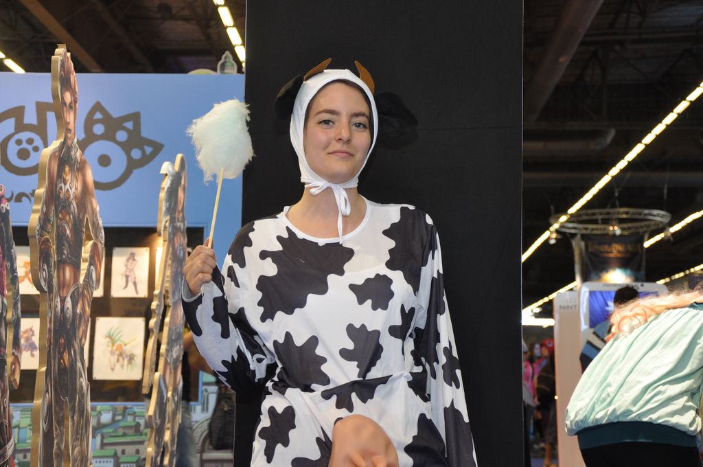 JAPAN EXPO 2011 photos 1029