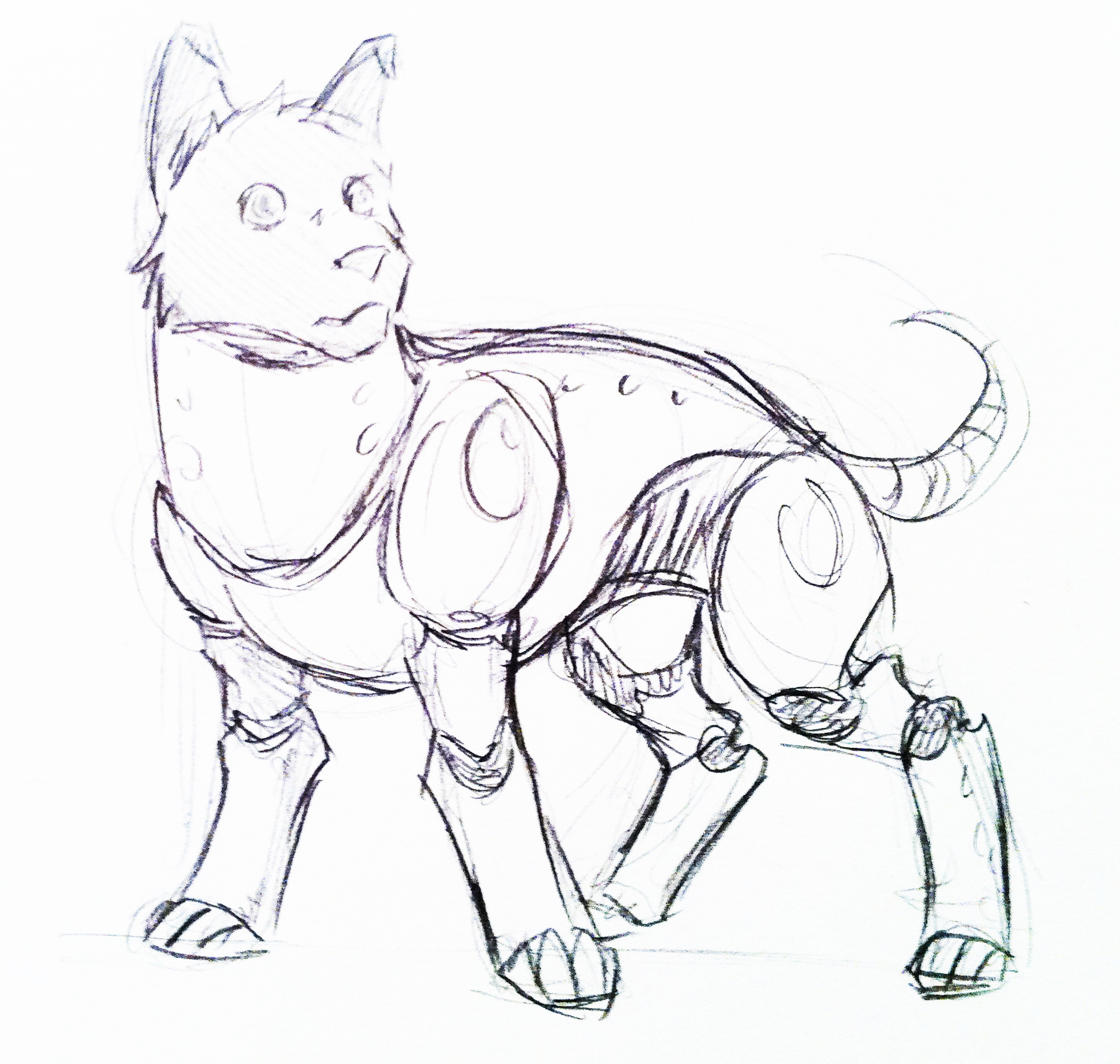 Laika-Believes-2