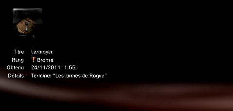 LEGO harry potter année 5 à 7 - trophées - BRONZE 26
