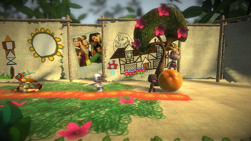 Little Big Planet (1)