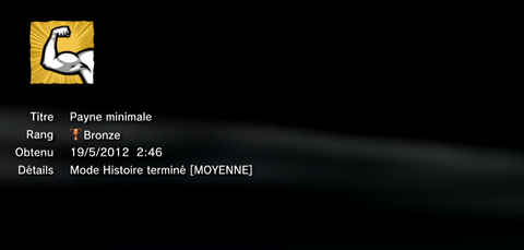 Max Payne Trophées BRONZE -  1