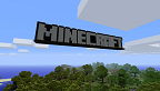 Minecraft vignette 11-01-2013